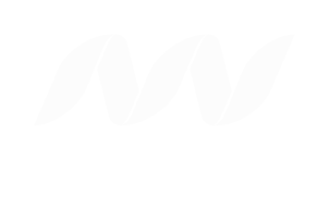 New Nexus